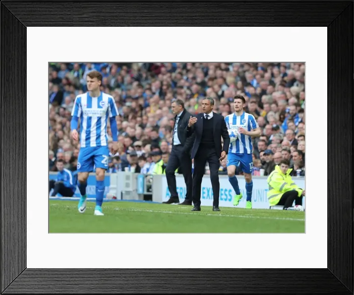 Framed Print : Brighton and Hove Albion vs. Blackburn Rovers: EFL Sky Bet Championship Showdown at American Express Community Stadium (April 1, 2017) Framed Print : Brighton and Hove Albion vs. Blackburn Rovers: EFL Sky Bet Championship Showdown at American Express Community Stadium (April 1, 2017)