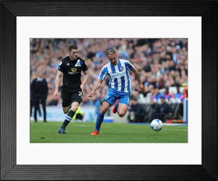 Framed Print : Brighton and Hove Albion vs. Blackburn Rovers: EFL Sky Bet Championship Showdown at American Express Community Stadium (April 1, 2017)