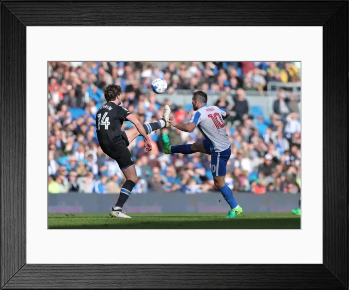 Framed Print : Brighton and Hove Albion vs. Blackburn Rovers: A Fierce EFL Sky Bet Championship Clash (01APR17) Framed Print : Brighton and Hove Albion vs. Blackburn Rovers: A Fierce EFL Sky Bet Championship Clash (01APR17)