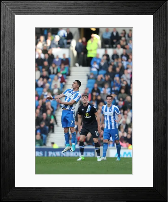 Framed Print : Brighton and Hove Albion vs. Blackburn Rovers: A Sky Bet Championship Battle (01APR17) Framed Print : Brighton and Hove Albion vs. Blackburn Rovers: A Sky Bet Championship Battle (01APR17)