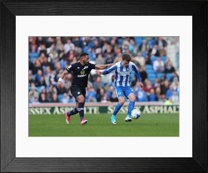 Framed Print : Brighton and Hove Albion vs. Blackburn Rovers: EFL Sky Bet Championship Showdown at American Express Community Stadium (April 1, 2017) Framed Print : Brighton and Hove Albion vs. Blackburn Rovers: EFL Sky Bet Championship Showdown at American Express Community Stadium (April 1, 2017)