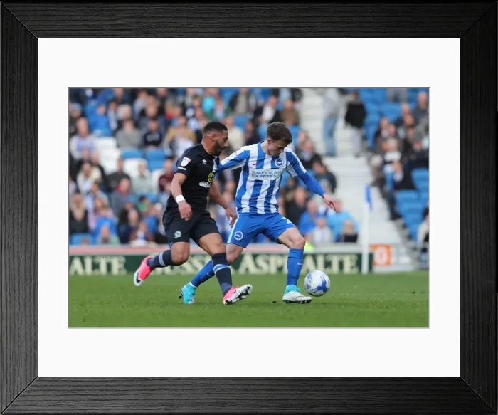 Framed Print : Brighton and Hove Albion vs. Blackburn Rovers: A Fierce EFL Sky Bet Championship Clash at the American Express Community Stadium (01APR17) Framed Print : Brighton and Hove Albion vs. Blackburn Rovers: A Fierce EFL Sky Bet Championship Clash at the American Express Community Stadium (01APR17)