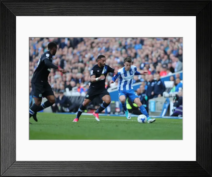 Framed Print : Brighton and Hove Albion vs. Blackburn Rovers: A Fierce EFL Sky Bet Championship Clash at the American Express Community Stadium (01APR17) Framed Print : Brighton and Hove Albion vs. Blackburn Rovers: A Fierce EFL Sky Bet Championship Clash at the American Express Community Stadium (01APR17)