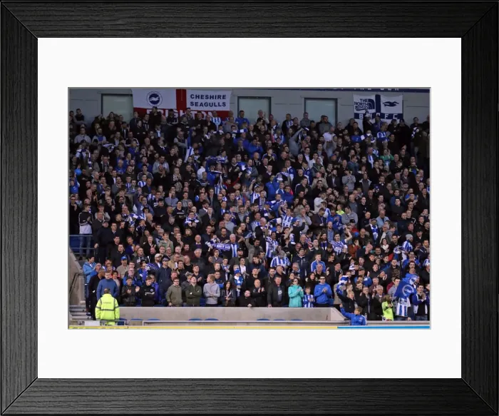 Framed Print : Brighton and Hove Albion vs. Birmingham City: EFL Sky Bet Championship Showdown at American Express Community Stadium (April 4, 2017)