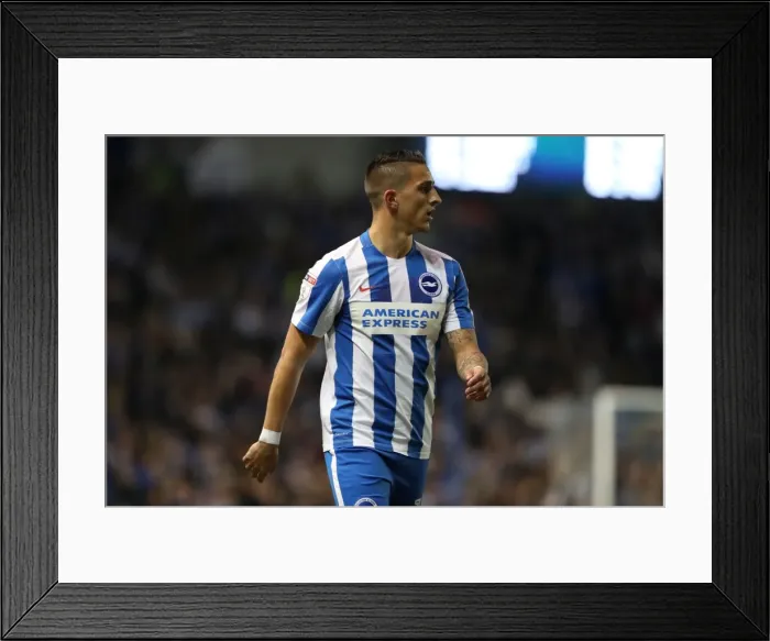 Framed Print : Brighton and Hove Albion vs. Birmingham City: EFL Sky Bet Championship Showdown at American Express Community Stadium (April 4, 2017) Framed Print : Brighton and Hove Albion vs. Birmingham City: EFL Sky Bet Championship Showdown at American Express Community Stadium (April 4, 2017)