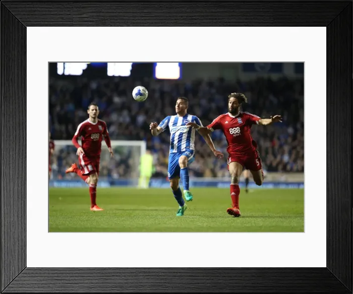 Framed Print : Brighton and Birmingham Clash in EFL Sky Bet Championship: April 4, 2017 (American Express Community Stadium) Framed Print : Brighton and Birmingham Clash in EFL Sky Bet Championship: April 4, 2017 (American Express Community Stadium)