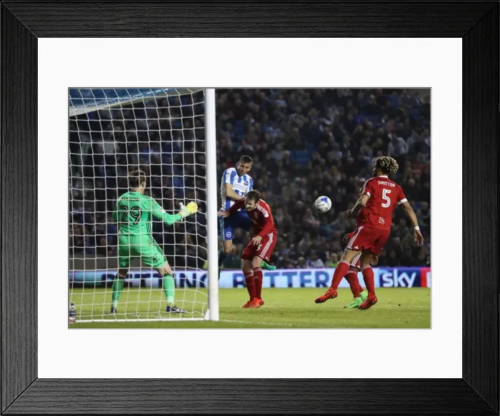 Framed Print : Brighton and Hove Albion vs Birmingham City: EFL Sky Bet Championship Showdown at American Express Community Stadium (April 4, 2017) Framed Print : Brighton and Hove Albion vs Birmingham City: EFL Sky Bet Championship Showdown at American Express Community Stadium (April 4, 2017)