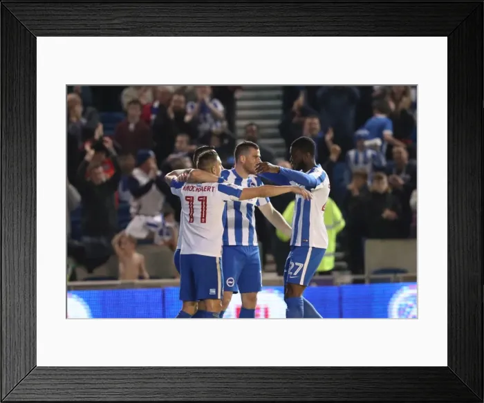 Framed Print : Brighton and Birmingham Clash in EFL Sky Bet Championship: 04APR17, American Express Community Stadium Framed Print : Brighton and Birmingham Clash in EFL Sky Bet Championship: 04APR17, American Express Community Stadium