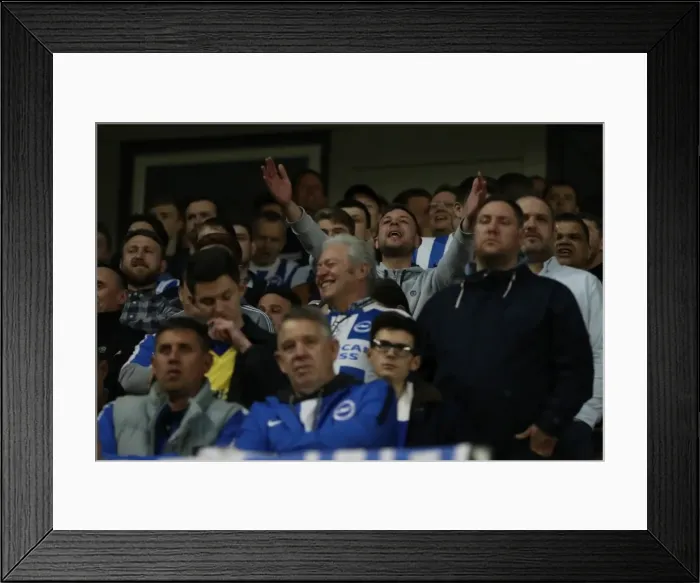 Framed Print : Brighton and Hove Albion vs Birmingham City: EFL Sky Bet Championship Showdown at American Express Community Stadium (April 4, 2017) Framed Print : Brighton and Hove Albion vs Birmingham City: EFL Sky Bet Championship Showdown at American Express Community Stadium (April 4, 2017)