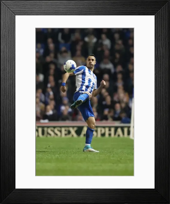 Framed Print : Brighton and Birmingham Clash in EFL Sky Bet Championship: 04APR17 at American Express Community Stadium Framed Print : Brighton and Birmingham Clash in EFL Sky Bet Championship: 04APR17 at American Express Community Stadium