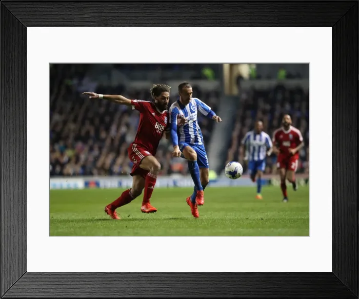 Framed Print : Brighton and Hove Albion vs. Birmingham City: EFL Sky Bet Championship Showdown at American Express Community Stadium (April 4, 2017) Framed Print : Brighton and Hove Albion vs. Birmingham City: EFL Sky Bet Championship Showdown at American Express Community Stadium (April 4, 2017)