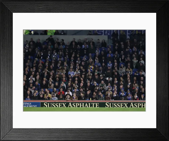 Framed Print : Brighton and Hove Albion vs. Birmingham City: EFL Sky Bet Championship Showdown at American Express Community Stadium (April 4, 2017) Framed Print : Brighton and Hove Albion vs. Birmingham City: EFL Sky Bet Championship Showdown at American Express Community Stadium (April 4, 2017)