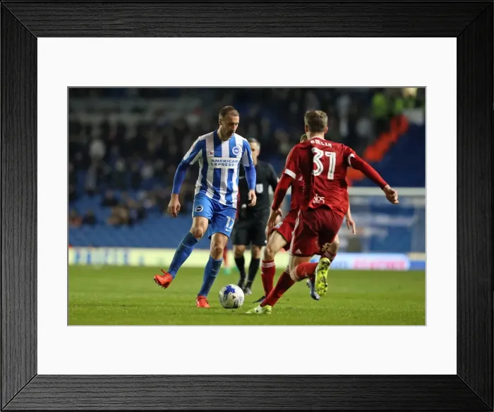 Framed Print : Brighton and Hove Albion vs. Birmingham City: EFL Sky Bet Championship Showdown at American Express Community Stadium (04APR17) Framed Print : Brighton and Hove Albion vs. Birmingham City: EFL Sky Bet Championship Showdown at American Express Community Stadium (04APR17)