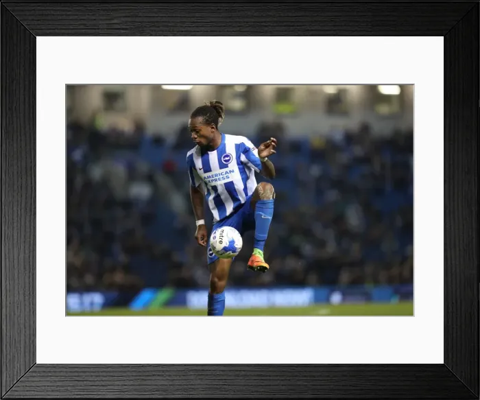Framed Print : Brighton and Hove Albion vs. Birmingham City: EFL Sky Bet Championship Showdown at American Express Community Stadium (April 4, 2017) Framed Print : Brighton and Hove Albion vs. Birmingham City: EFL Sky Bet Championship Showdown at American Express Community Stadium (April 4, 2017)