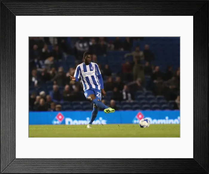 Framed Print : Brighton and Hove Albion vs. Birmingham City: EFL Sky Bet Championship Showdown at American Express Community Stadium (April 4, 2017) Framed Print : Brighton and Hove Albion vs. Birmingham City: EFL Sky Bet Championship Showdown at American Express Community Stadium (April 4, 2017)