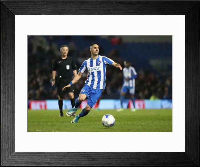 Framed Print : Brighton and Hove Albion vs. Birmingham City: EFL Sky Bet Championship Showdown at American Express Community Stadium (April 4, 2017)