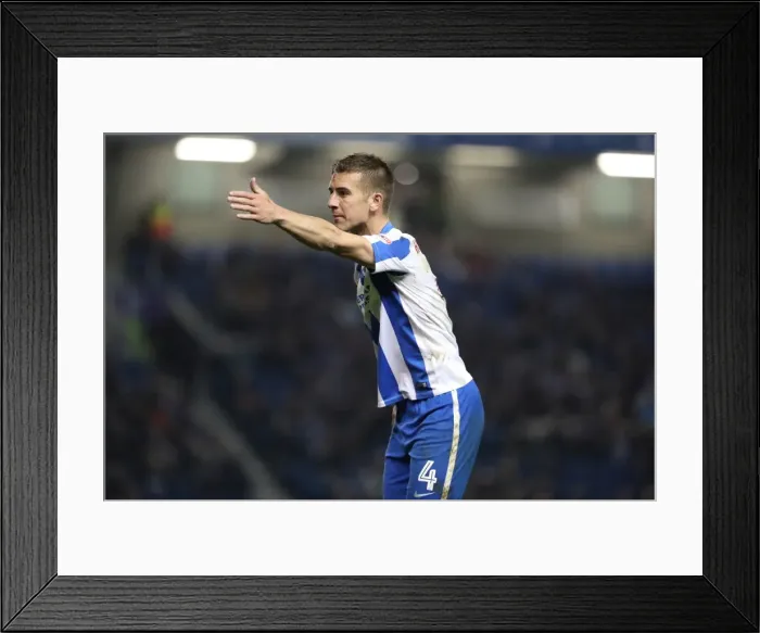 Framed Print : Brighton and Hove Albion vs. Birmingham City: EFL Sky Bet Championship Showdown at American Express Community Stadium (April 4, 2017) Framed Print : Brighton and Hove Albion vs. Birmingham City: EFL Sky Bet Championship Showdown at American Express Community Stadium (April 4, 2017)