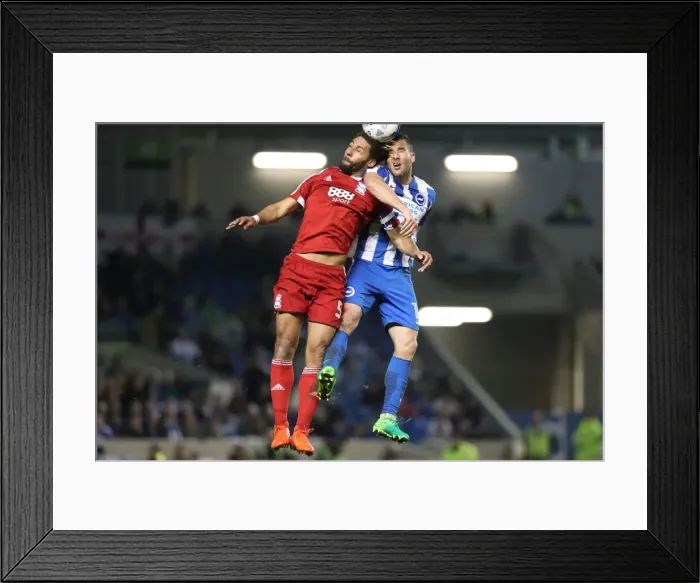 Framed Print : Brighton and Hove Albion vs. Birmingham City: EFL Sky Bet Championship Showdown at American Express Community Stadium (April 4, 2017) Framed Print : Brighton and Hove Albion vs. Birmingham City: EFL Sky Bet Championship Showdown at American Express Community Stadium (April 4, 2017)