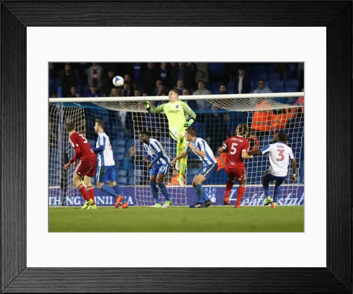 Framed Print : Brighton and Hove Albion vs. Birmingham City: EFL Sky Bet Championship Showdown at American Express Community Stadium (April 4, 2017)