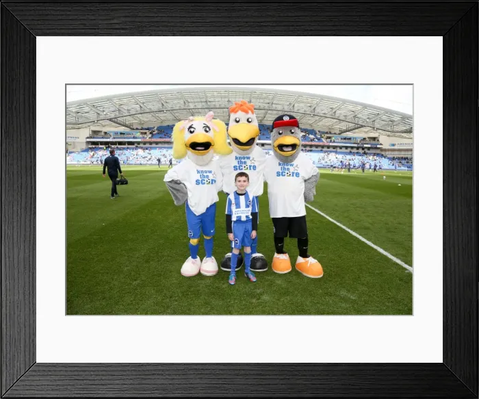 Framed Print : Blackburn-1274 Framed Print : Blackburn-1274