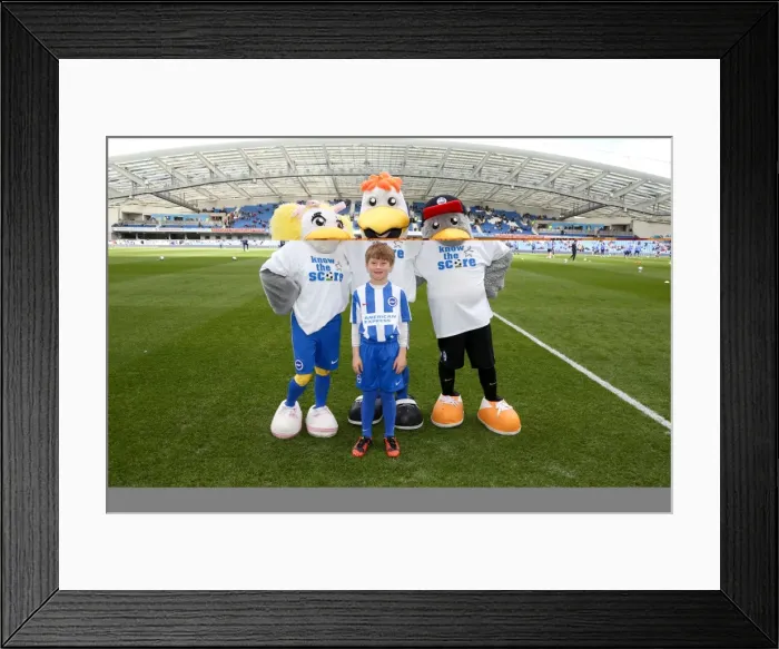 Framed Print : Blackburn-1280 Framed Print : Blackburn-1280