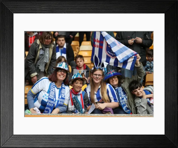 Framed Print : Sea of Seagulls: Brighton & Hove Albion Fans at Molineux Stadium (April 2017) Framed Print : Sea of Seagulls: Brighton & Hove Albion Fans at Molineux Stadium (April 2017)