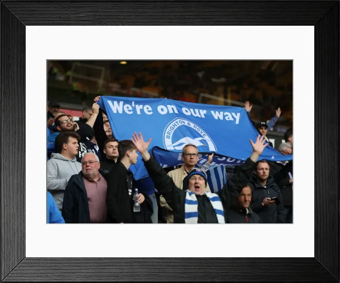 Framed Print : Brighton & Hove Albion Fans Passionate Showing at Wolverhampton Wanderers Championship Clash, April 2017 Framed Print : Brighton & Hove Albion Fans Passionate Showing at Wolverhampton Wanderers Championship Clash, April 2017