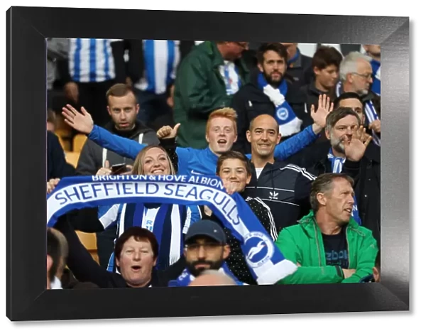 Brighton & Hove Albion Fans Unwavering Passion at Wolverhampton Wanderers Championship Showdown (April 2017)