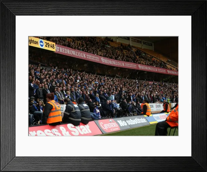 Framed Print : Brighton & Hove Albion Fans Euphoric Moment at Molineux Stadium during the Championship Clash vs. Wolverhampton Wanderers (14th April 2017) Framed Print : Brighton & Hove Albion Fans Euphoric Moment at Molineux Stadium during the Championship Clash vs. Wolverhampton Wanderers (14th April 2017)
