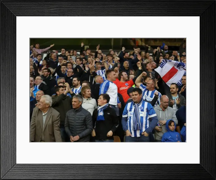 Framed Print : Brighton & Hove Albion Fans Epic Moment at Molineux Stadium during Wolverhampton Wanderers vs. Championship Clash (April 2017) Framed Print : Brighton & Hove Albion Fans Epic Moment at Molineux Stadium during Wolverhampton Wanderers vs. Championship Clash (April 2017)