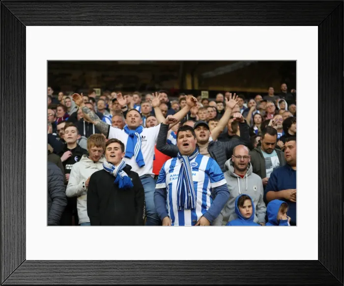 Framed Print : Brighton & Hove Albion Fans Unwavering Passion at Wolverhampton Wanderers Championship Showdown (April 2017) Framed Print : Brighton & Hove Albion Fans Unwavering Passion at Wolverhampton Wanderers Championship Showdown (April 2017)