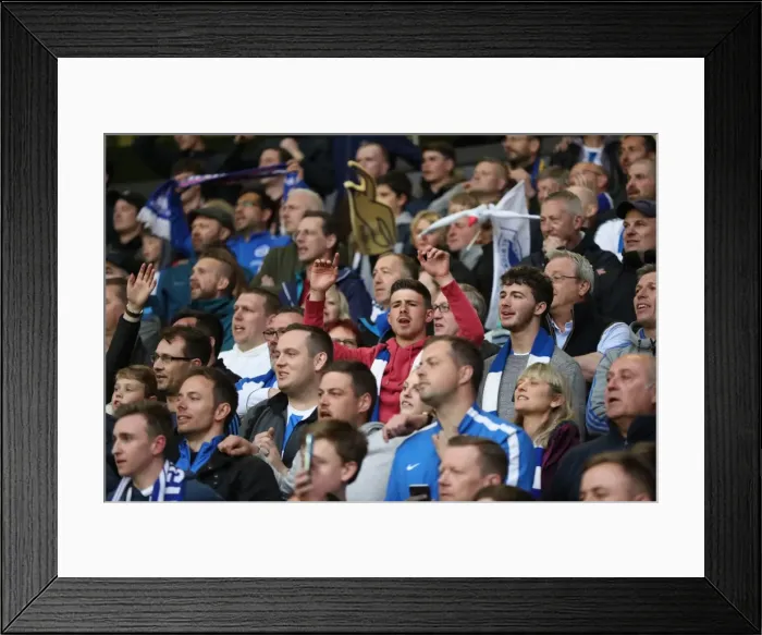 Framed Print : Brighton & Hove Albion Fans at Molineux Stadium during EFL Championship Match vs. Wolverhampton Wanderers (14APR17) Framed Print : Brighton & Hove Albion Fans at Molineux Stadium during EFL Championship Match vs. Wolverhampton Wanderers (14APR17)