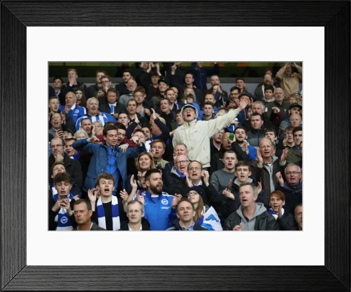 Framed Print : Brighton & Hove Albion Fans Epic Moment at Wolves: Passion and Pride in the Championship Clash (14th April 2017) Framed Print : Brighton & Hove Albion Fans Epic Moment at Wolves: Passion and Pride in the Championship Clash (14th April 2017)