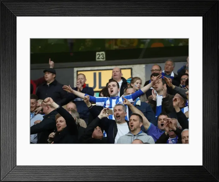 Framed Print : Brighton & Hove Albion Fans Passionate Display at Wolverhampton Wanderers Championship Clash (April 2017) Framed Print : Brighton & Hove Albion Fans Passionate Display at Wolverhampton Wanderers Championship Clash (April 2017)