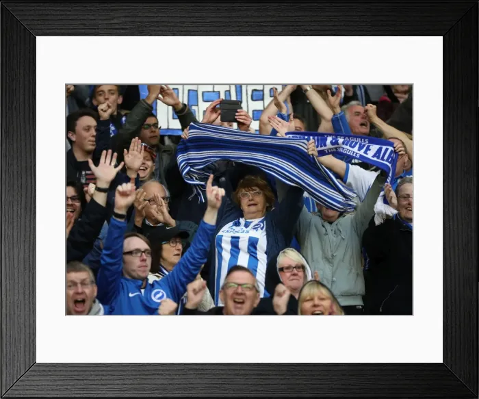 Framed Print : Brighton & Hove Albion Fans at Molineux Stadium: EFL Sky Bet Championship Match vs. Wolverhampton Wanderers (14th April 2017) Framed Print : Brighton & Hove Albion Fans at Molineux Stadium: EFL Sky Bet Championship Match vs. Wolverhampton Wanderers (14th April 2017)