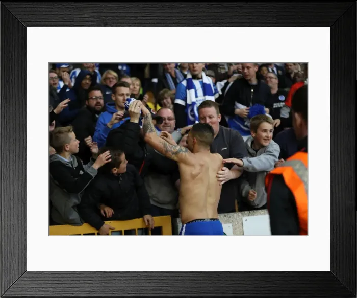 Framed Print : Brighton & Hove Albion Fans Epic Moment at Wolverhampton Wanderers Championship Clash, April 2017 Framed Print : Brighton & Hove Albion Fans Epic Moment at Wolverhampton Wanderers Championship Clash, April 2017