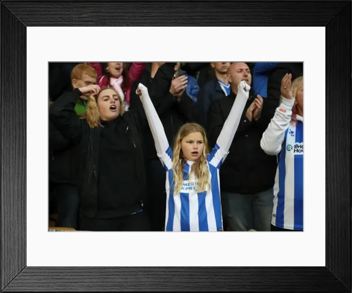 Framed Print : Brighton & Hove Albion Fans Unwavering Passion at Wolves: Championship Showdown (April 14, 2017)