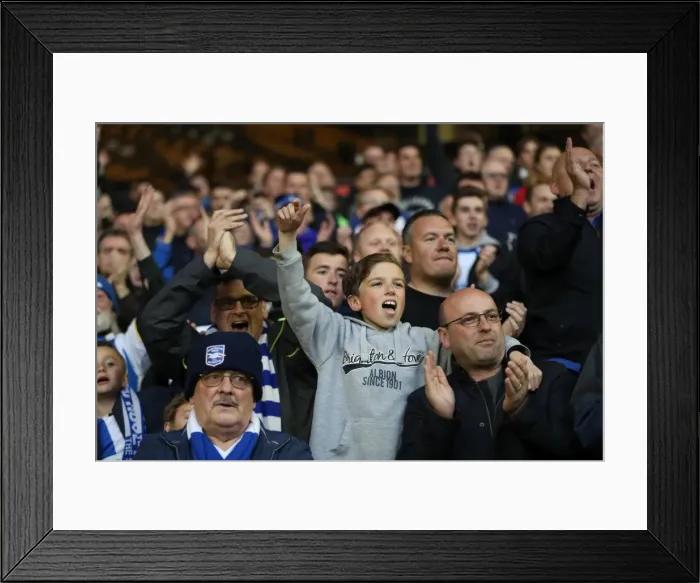 Framed Print : Brighton & Hove Albion Fans at Molineux Stadium: EFL Sky Bet Championship Clash Against Wolverhampton Wanderers (14th April 2017) Framed Print : Brighton & Hove Albion Fans at Molineux Stadium: EFL Sky Bet Championship Clash Against Wolverhampton Wanderers (14th April 2017)