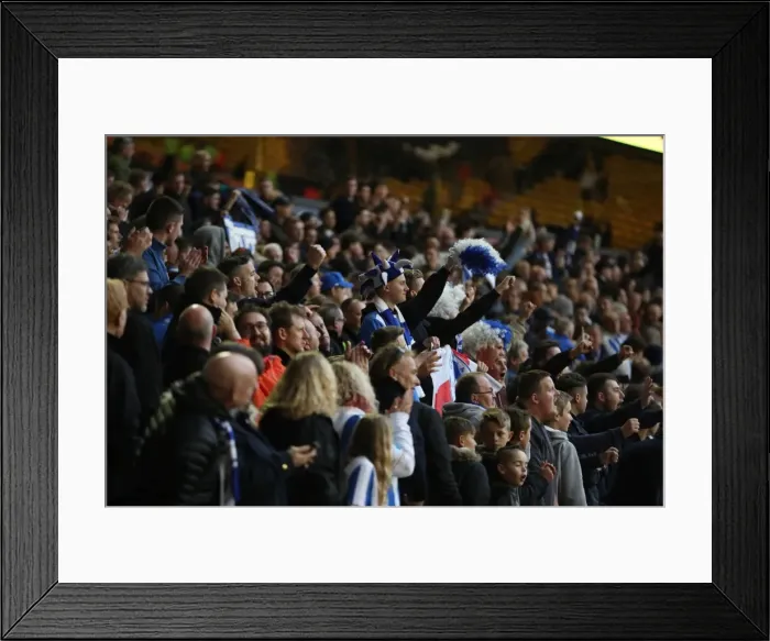 Framed Print : Brighton & Hove Albion Fans Passionate Moment at Wolverhampton Wanderers Championship Clash (14th April 2017) Framed Print : Brighton & Hove Albion Fans Passionate Moment at Wolverhampton Wanderers Championship Clash (14th April 2017)
