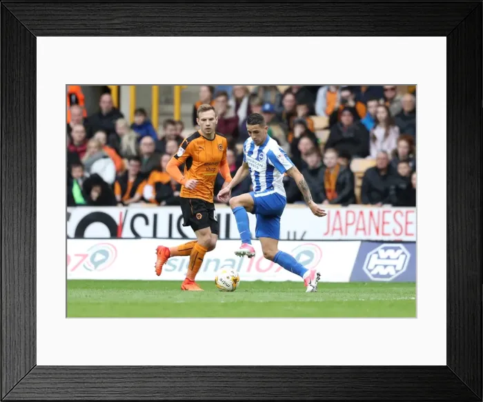 Framed Print : Clash in the Championship: Wolverhampton Wanderers vs. Brighton and Hove Albion (14th April 2017)
