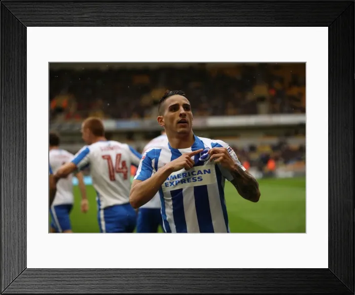 Framed Print : Championship Battle: Wolverhampton Wanderers vs. Brighton and Hove Albion at Molineux Stadium (14th April 2017) Framed Print : Championship Battle: Wolverhampton Wanderers vs. Brighton and Hove Albion at Molineux Stadium (14th April 2017)