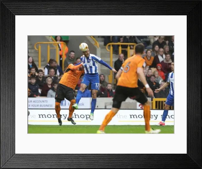 Framed Print : Championship Showdown: Wolverhampton Wanderers vs. Brighton and Hove Albion at Molineux Stadium (14th April 2017) Framed Print : Championship Showdown: Wolverhampton Wanderers vs. Brighton and Hove Albion at Molineux Stadium (14th April 2017)