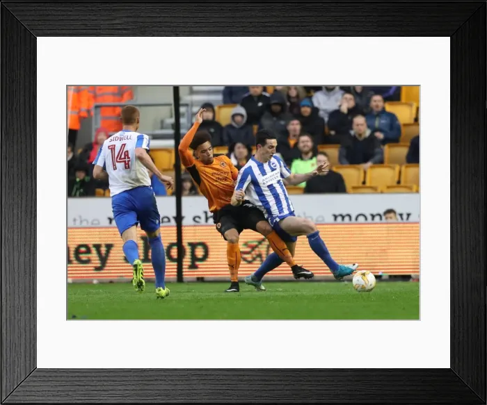 Framed Print : Intense Championship Showdown: Wolverhampton Wanderers vs. Brighton and Hove Albion at Molineux Stadium (April 14, 2017)