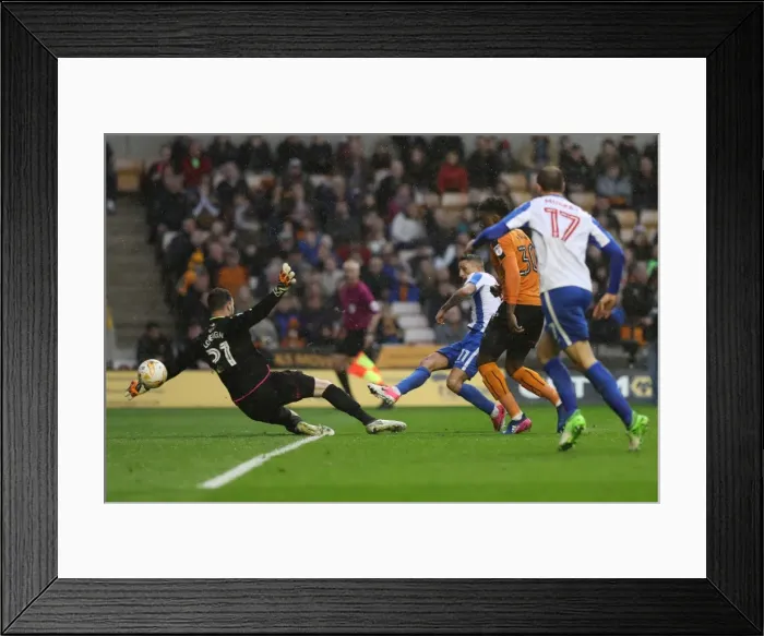 Framed Print : A Battle in the Championship: Wolverhampton Wanderers vs. Brighton and Hove Albion (14th April 2017) Framed Print : A Battle in the Championship: Wolverhampton Wanderers vs. Brighton and Hove Albion (14th April 2017)