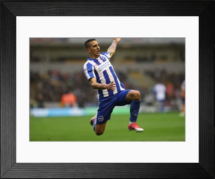 Framed Print : Battling in the Championship: Wolverhampton Wanderers vs. Brighton and Hove Albion (14th April 2017)