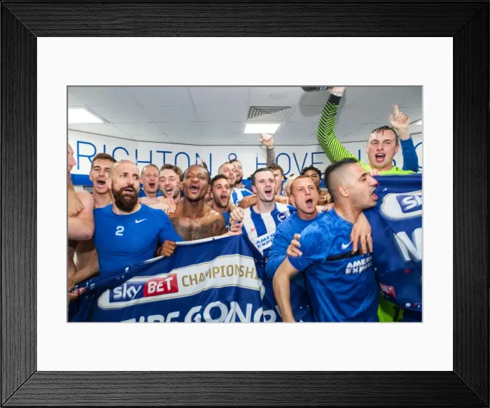 Framed Print : Brighton and Hove Albion's Promotion Celebration: Brighton vs. Wigan Athletic, EFL Sky Bet Championship, 17th April 2017