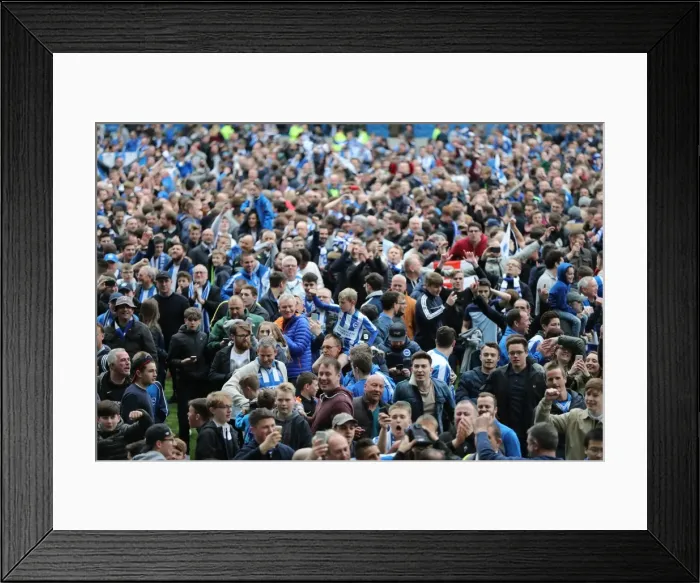 Framed Print : Brighton and Hove Albion Fans Passion: EFL Sky Bet Championship Showdown vs. Wigan Athletic (17th April 2017) Framed Print : Brighton and Hove Albion Fans Passion: EFL Sky Bet Championship Showdown vs. Wigan Athletic (17th April 2017)
