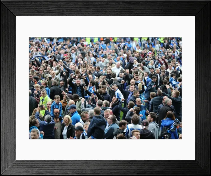 Framed Print : Brighton and Hove Albion Fans Celebrate Championship Victory over Wigan Athletic at American Express Community Stadium (17APR17) Framed Print : Brighton and Hove Albion Fans Celebrate Championship Victory over Wigan Athletic at American Express Community Stadium (17APR17)