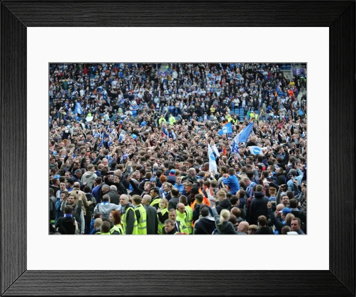 Framed Print : Brighton and Hove Albion Fans Passion: EFL Sky Bet Championship Clash vs. Wigan Athletic (17th April 2017)