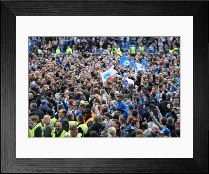 Framed Print : Brighton and Hove Albion Fans Celebrate Championship Victory over Wigan Athletic at American Express Community Stadium (17APR17) Framed Print : Brighton and Hove Albion Fans Celebrate Championship Victory over Wigan Athletic at American Express Community Stadium (17APR17)